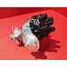 Powerspark Delco D200 Type Distributor Electronic Ignition 4 Cylinder  D200   (Triumph Spitfire) D44-Powerspark