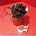 Powerspark Delco Distributor 6 Cylinder  Type Distributor Electronic Ignition 6 Cylinder (with Rev Counter Drive)   D46-Powerspark