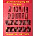 Uprated Valve Spring Set - Fast Road - Triumph 6 Cylinder Engines inc TR5 - TR6   TT1207