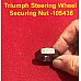 Triumph Steering Wheel Securing Nut -105438