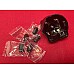 Distributor Cap for Lucas DKY4 Distributors. DDB111     AAA4772