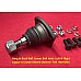 Borg & Beck Ball  Lower Ball Joint  Left & Right   Jaguar XJ Aston Martin Daimler TVR  BBJ5004